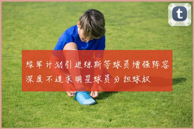 绿军计划引进琼斯等球员增强阵容深度不追求明星球员分担球权