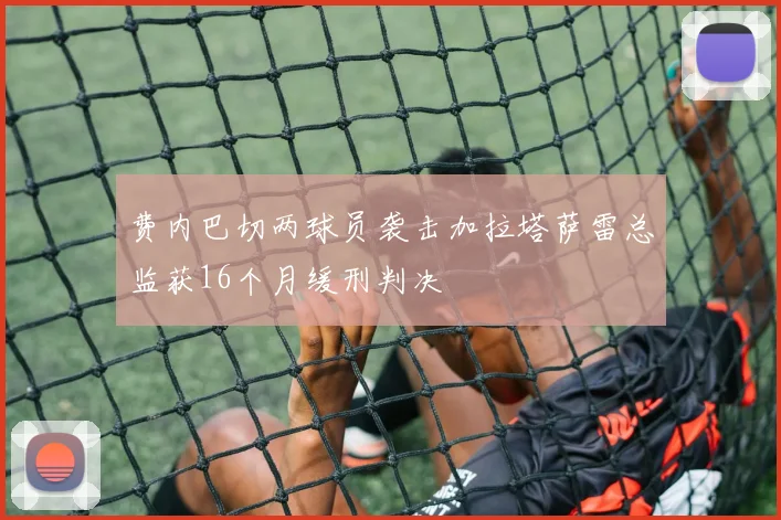 费内巴切两球员袭击加拉塔萨雷总监获16个月缓刑判决